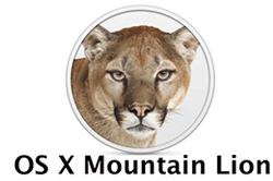 mountain lion